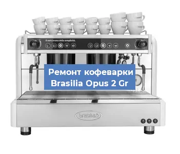 Замена дренажного клапана на кофемашине Brasilia Opus 2 Gr в Воронеже